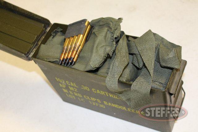 (192) rounds of .30-06 in M1 Grand Enbloc clips 